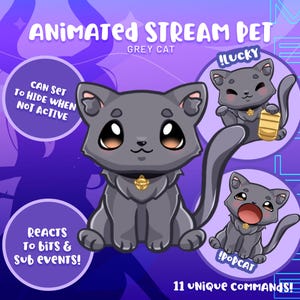 May include: Animated grey cat stream pet with 11 unique commands. The cat is sitting with a bell around its neck. The cat is animated and reacts to bits and sub events. The cat can be set to hide when not active. The cat is shown in three different poses: sitting, with a surprised expression, and holding a gold coin.