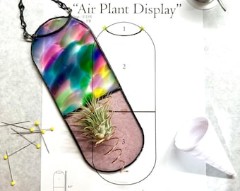 AIR PLANT DISPLAY