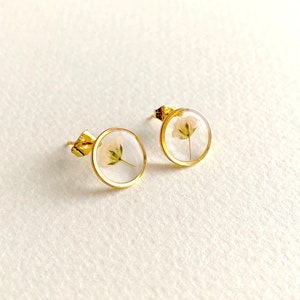Gypsophila Baby's Breath Stud Earrings, Real Pressed Flowers, White Flower, Dainty Gold Round Earrings, Mother's Day, Gifts for Her, Xmas image 1