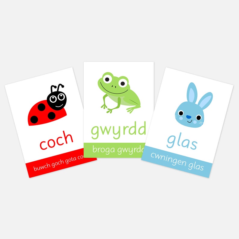 Welsh Frog Welsh Colours Flashcards: Bi-lingual Early Learning Resources - Etsy UK
