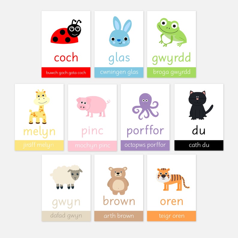 Welsh Objects Welsh Colours Flashcards: Bi-lingual Early Learning Resources - Etsy UK