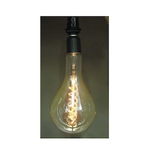 14&quot; Edison Style bulb-60 watt