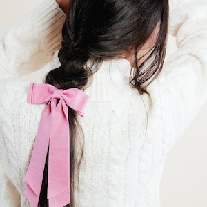 May include: A pink ribbon hair bow tied into a bow with long tails. The bow is tied around a braid of dark brown hair.