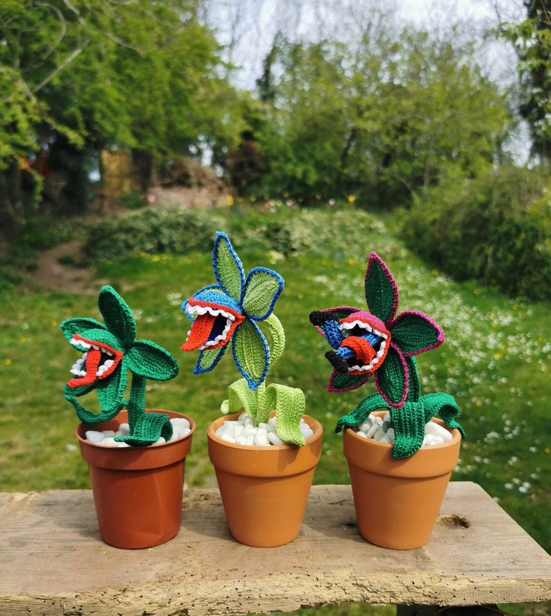 Man eating plant, man eating flower, crochet man eating plant, crochet plant, everlasting plant, made to order image 5