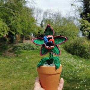 Man eating plant, man eating flower, crochet man eating plant, crochet plant, everlasting plant, made to order image 4