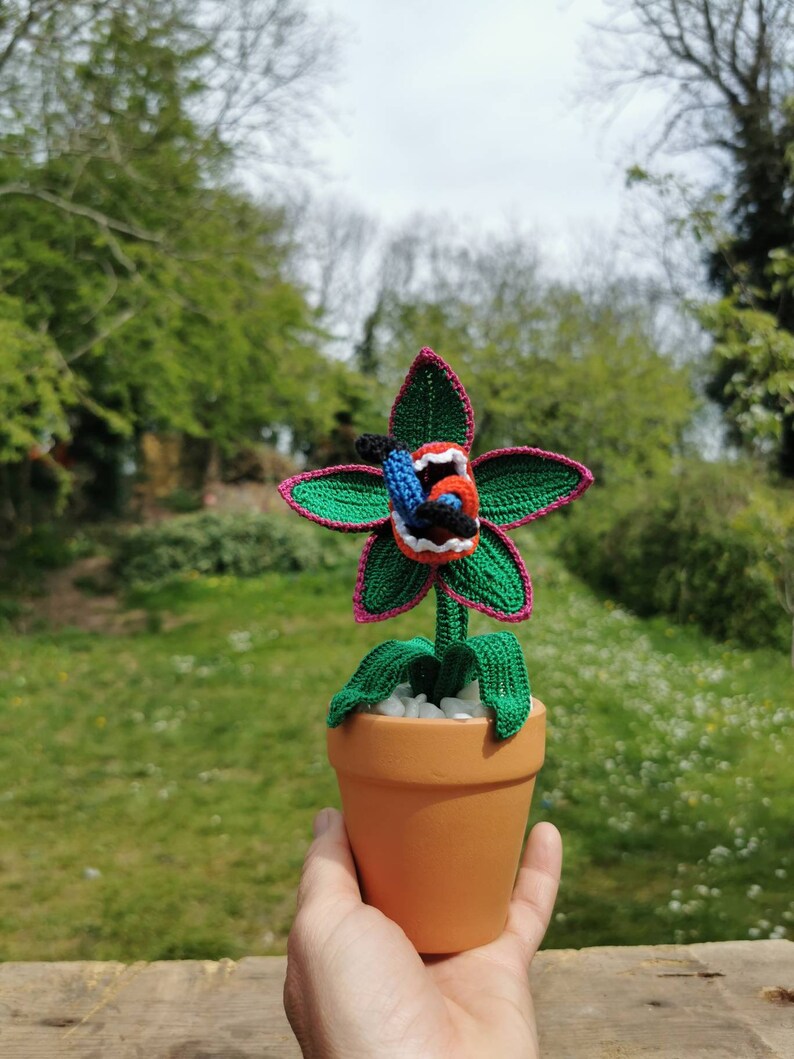 Man eating plant, man eating flower, crochet man eating plant, crochet plant, everlasting plant, made to order image 4