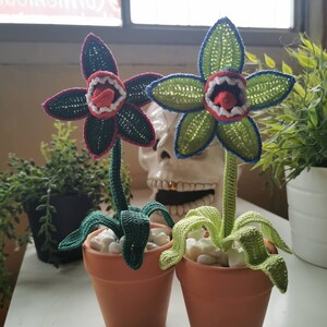 Man eating plant, man eating flower, crochet man eating plant, crochet plant, everlasting plant, made to order image 6