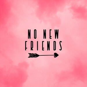 Può includere: Sfondo rosa con texture nuvolosa e testo nero "NO NEW FRIENDS". Una freccia con design a piume e un cuore punta a destra. Design semplice e audace.