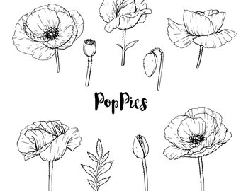 60% OFF SALE Red Poppies Digital Paper Pack Poppy Floral