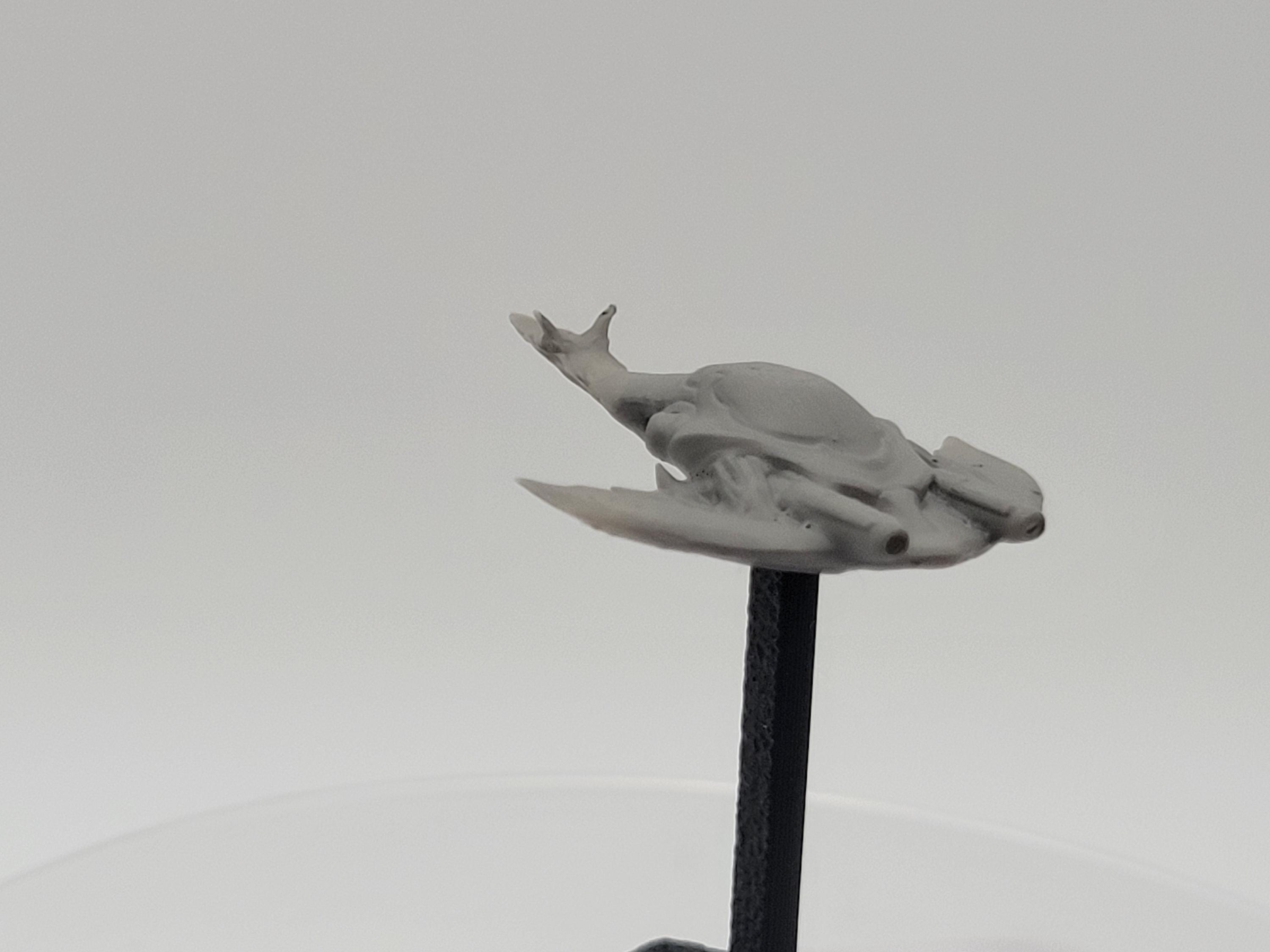 Uiar Terra Conflict: Oq'uiar Short Range Fighter 2 - Etsy