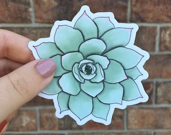 Echeveria Succulent Sticker, Vinyl Succulent Rosette Decal, Waterproof Succulent Plant Sticker, 3-inch Plant Decal, Watercolor Plant Sticker