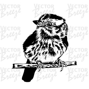 Happy Cute Song Sparrow Bird Vector Original Illustration Graphic Digital File Download SVG EPS DXF