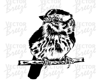 Song Sparrow Vector Illustration, Bird (svg, eps, dxf, png) Digital File