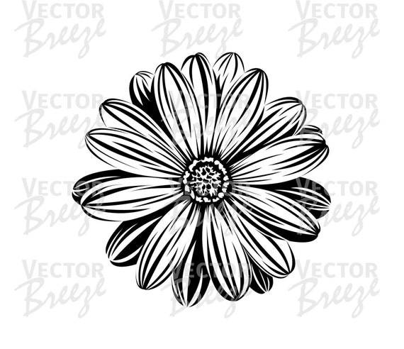 Vector Flower Gerbera Daisy Original Floral Graphic Digital - Etsy Ireland