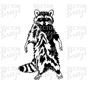 Funny Cute Raccoon Vector Original Illustration Graphic Digital Instant Download DXF SVG EPS