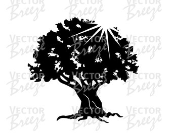 Old Strong Tree Leaves Sunshine Roots Vector Original Illustration Graphic Digital DXF EPS SVG