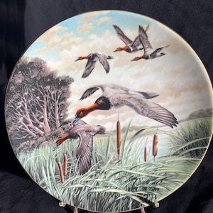 Canvasbacks Collectors Plate by The Franklin Mint 1984 Ken Michaelson