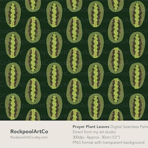 Prayer Plant Leaves Seamless Pattern Instant Download PNG Personal and Commercial Use