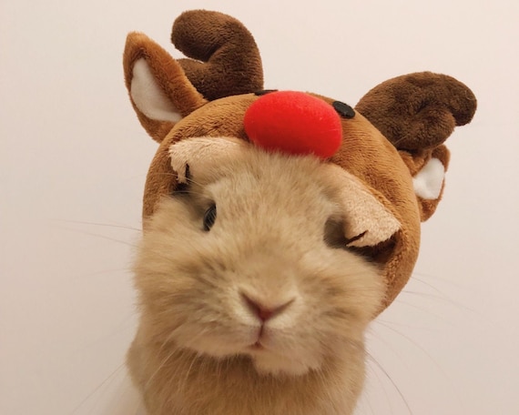 Costume For Small Pet Reindeer Hat Costume Hat For Pet Bunny Rabbit Hat For Small Dog Reindeer Hat For Pet - 