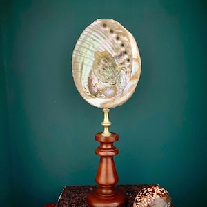 Könnte beinhalten: Abalone-Muschel-Kunstwerk. Die schillernde Muschel ist auf einem Holzsockel mit Messingakzenten montiert. Die Muschel ist oval geformt und hat ein perlmuttartiges Inneres. Der Sockel ist dunkelbraun und hat ein gedrehtes Design. Eine zweite Muschel ist im Vordergrund zu sehen.