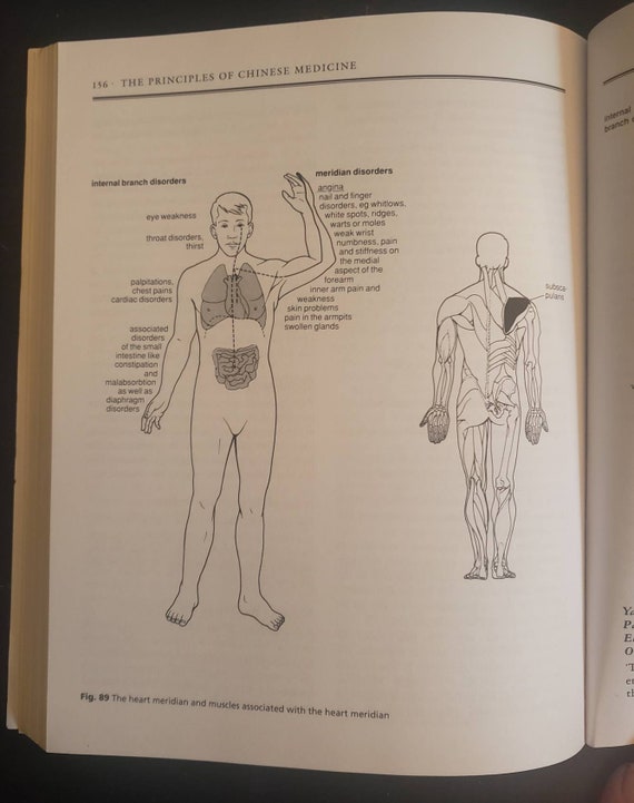 Inge Dougans Reflexology Chart