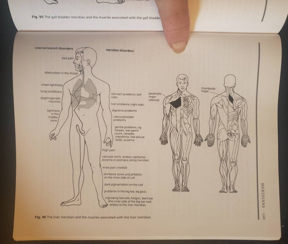 Inge Dougans Reflexology Chart