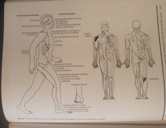 Inge Dougans Reflexology Chart