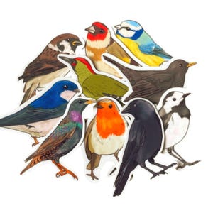 British Birds Sticker Pack
