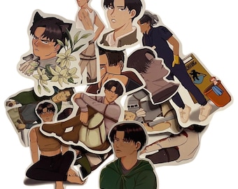 Paquete de pegatinas de Levi