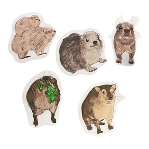 Conjunto de adesivos Hyrax