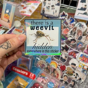 Puede incluir: Una pegatina cuadrada con fondo azul claro y las palabras "there is a weevil hidden somewhere in this sticker." La pegatina presenta una imagen detallada de un gorgojo.