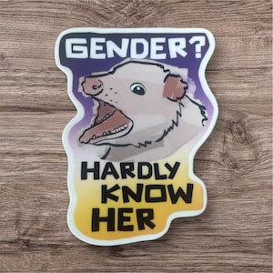 Puede incluir: Una pegatina blanca con un opossum de dibujos animados con la boca abierta y el texto "GENDER? HARDLY KNOW HER" en letras negras sobre un fondo degradado amarillo y morado.