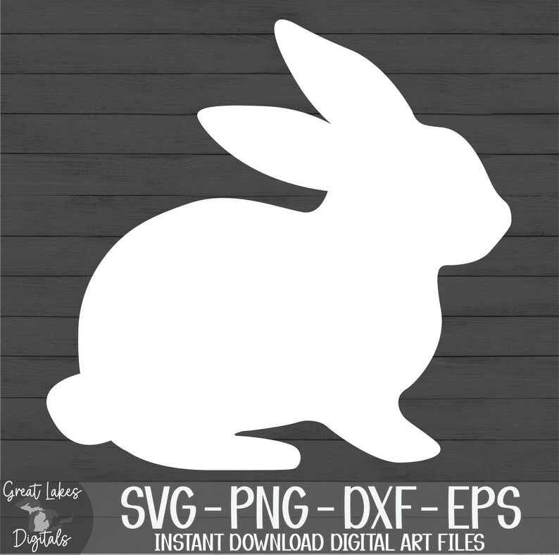 Easter Bunny, Rabbit - Instant Digital Download - svg, png, dxf, and eps files included! image 10