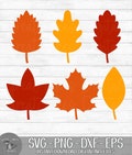 Fall Autumn Leaves - Bundle of 6 - Instant Digital Download - svg, png, dxf, and eps files included!