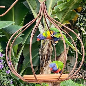 Handmade Rustic Steel Gumnut Bird Feeder, Garden Plant Hanger