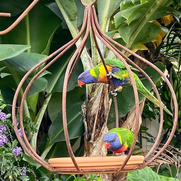 Comedero para pájaros de acero rústico hecho a mano con forma de eucalipto, colgador para plantas de jardín