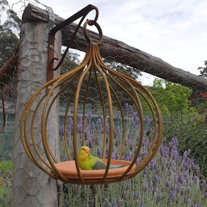 May include: A yellow and green parakeet sits inside a rusty metal birdcage with a round, brown ceramic base. The cage is hanging from a wooden post and is surrounded by purple lavender flowers.