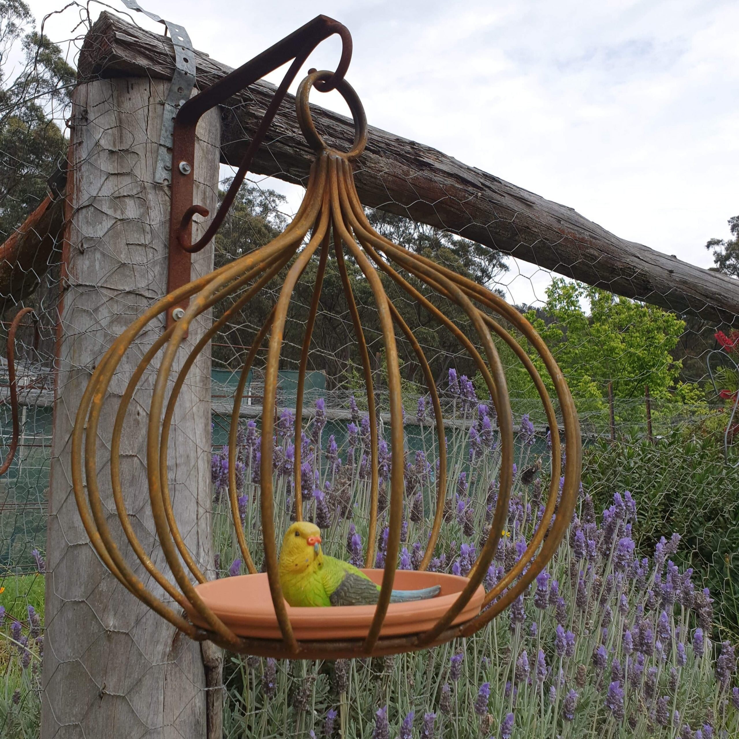 Gumnut Metal Bird Feeder narrow Rustic Steel Bird Feeder Etsy Australia