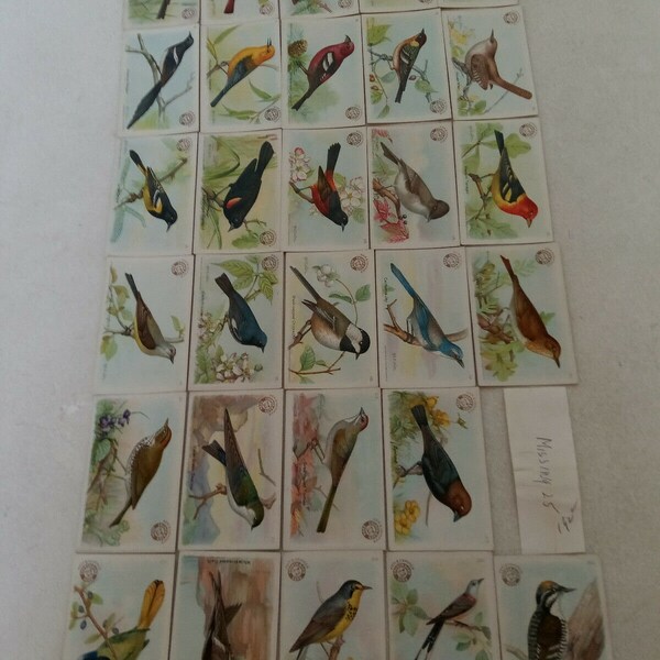 Arm and Hammer Bird Cards Etsy