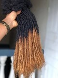 100 Honey tips Anwi Textured interlocd Human hair Dreadlock extensions  bundles in sizes 0.2cm product logo