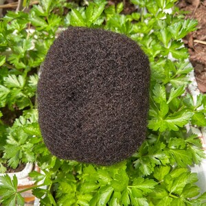 May include: A close-up of a dark brown afro hair texture. The hair is thick and curly, and it is surrounded by green leafy plants.