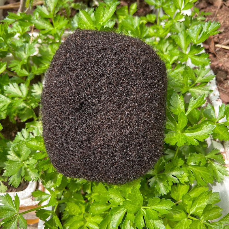 May include: A close-up of a dark brown afro hair texture. The hair is thick and curly, and it is surrounded by green leafy plants.