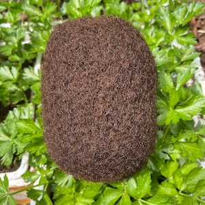 May include: A close-up of a brown, round, fuzzy object with a textured surface. The object is surrounded by green leafy plants.
