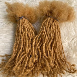 May include: Two bundles of golden-brown faux locs, secured with blue bands. The locs have a textured, natural appearance, with a slightly curly texture at the ends. The background is a soft, white, fluffy surface.
