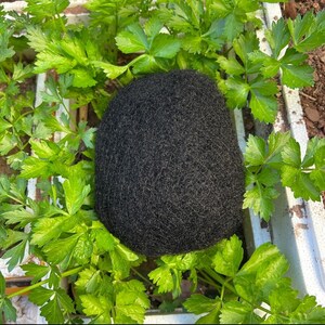 May include: A close-up of a black, round, textured object surrounded by green leafy plants.