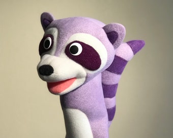 Little Genius Raccoon