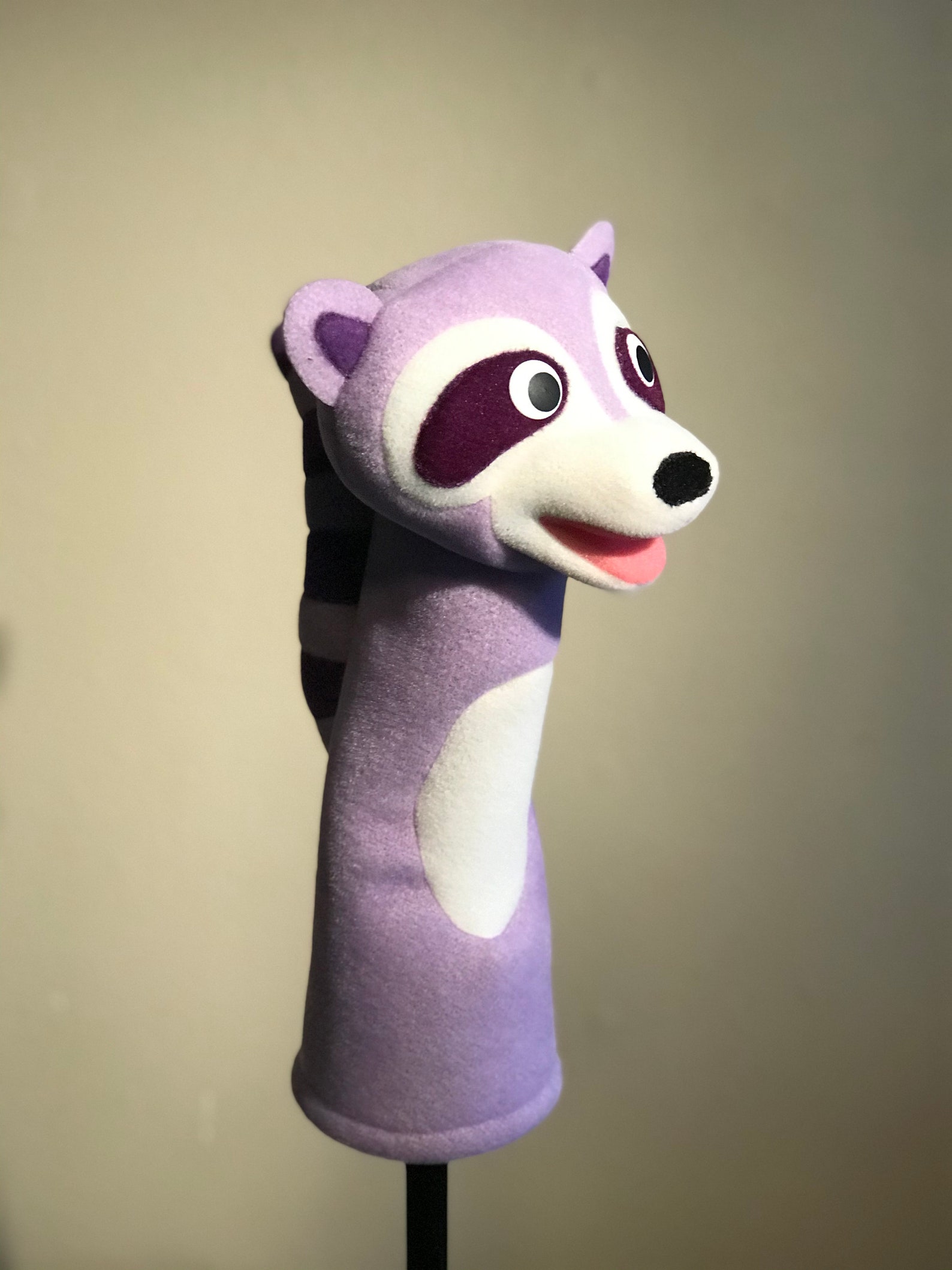 Baby Einstein Raccoon