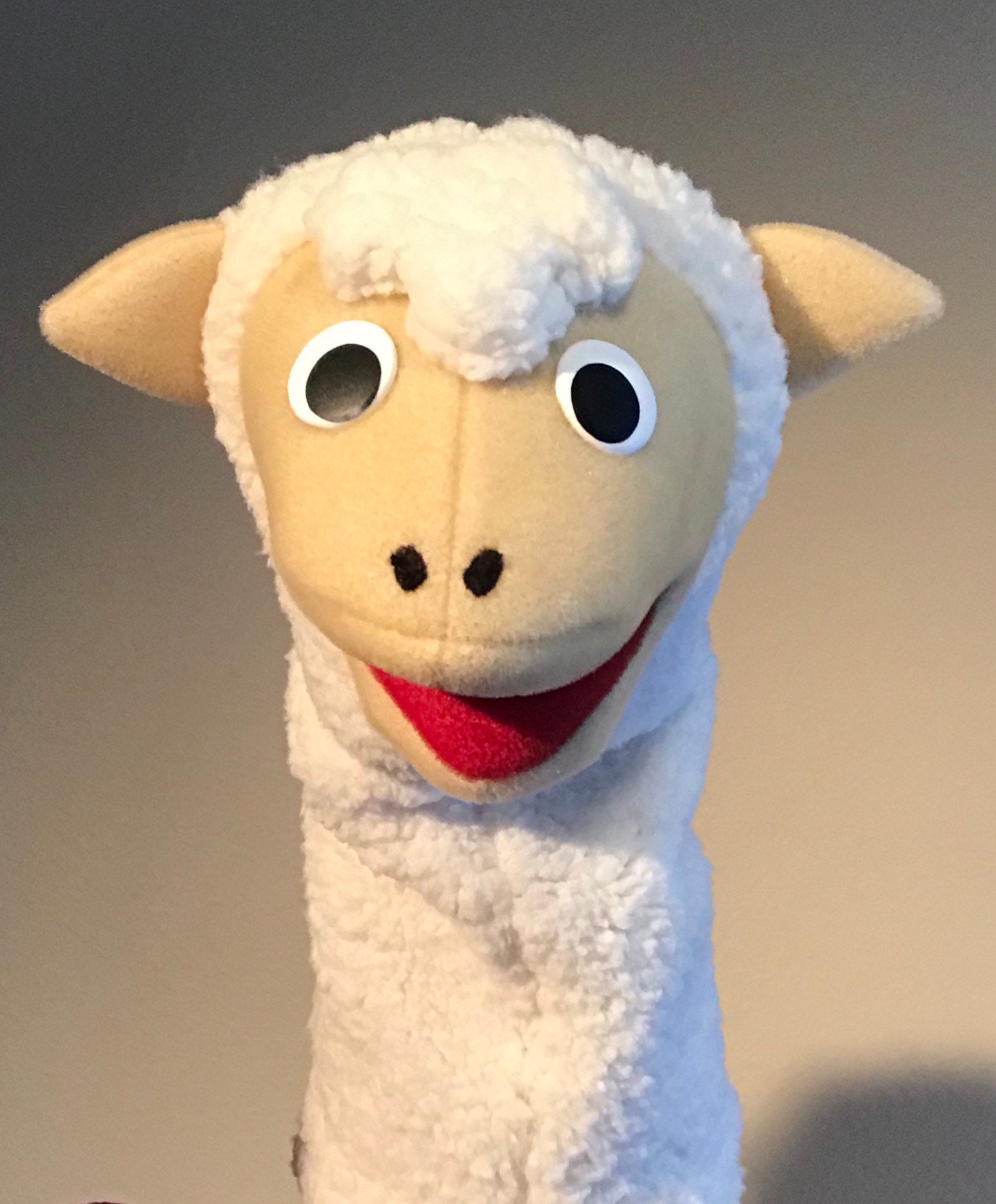 Baby Einstein Sheep Puppet
