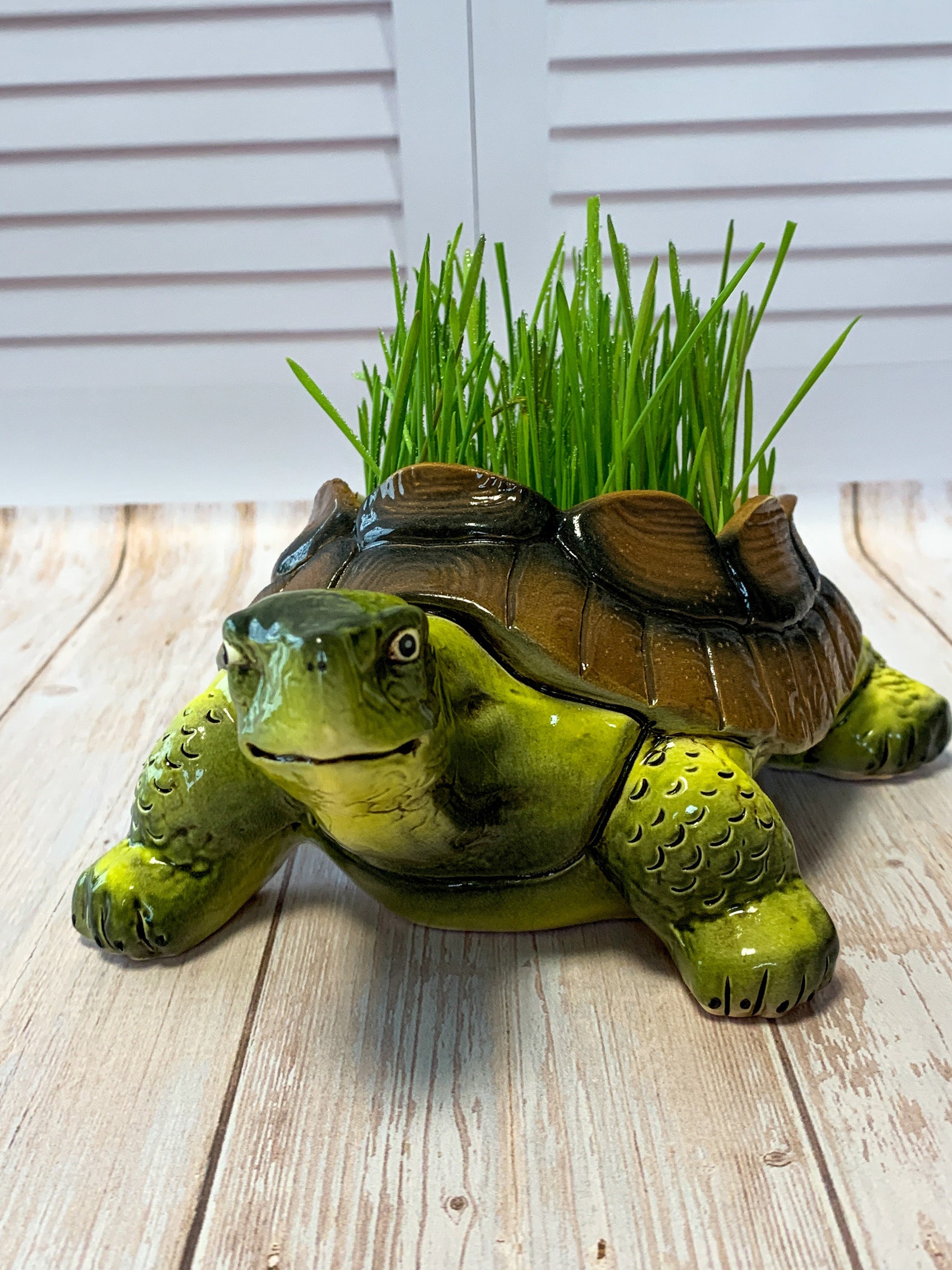 Turtle Ceramic Candy Holder Ceramic Turtle Figurine Buttons Etsy