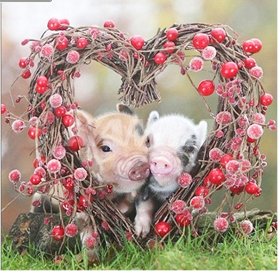 DIY 5D Diamond Painting Pig Embroidery Cross Stitch Kit Home Decoration